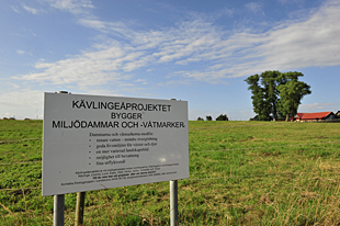 Kävlingeå-projektet anlägger våtmark ©Johan Hammar/Ekologgruppen